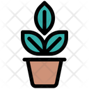 پیش‌نمایش فایل plant-3248575 از پک کشاورزی، زراعت و باغبانی