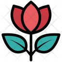 پیش‌نمایش فایل rose-flower-3248590 از پک کشاورزی، زراعت و باغبانی
