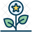پیش‌نمایش فایل star-plant-3691648 از پک وفاداری ۱