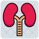 پیش‌نمایش فایل lungs-4386597 از پک پزشکی