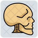 پیش‌نمایش فایل skull-4386615 از پک پزشکی