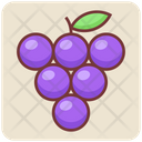 پیش‌نمایش فایل black-currant-4393040 از پک غذا