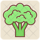 پیش‌نمایش فایل broccoli-4393103 از پک غذا ۲