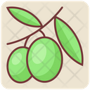 پیش‌نمایش فایل olive-4393105 از پک غذا ۲