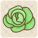 پیش‌نمایش فایل cabbage-4393398 از پک غذا