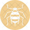 پیش‌نمایش فایل aphid-4467976 از پک حشرات