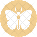 پیش‌نمایش فایل butterfly-4467958 از پک حشرات