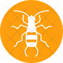 پیش‌نمایش فایل earwig-4467975 از پک حشرات