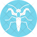 پیش‌نمایش فایل mantis-4467972 از پک حشرات