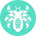 پیش‌نمایش فایل scorpion-4467947 از پک حشرات