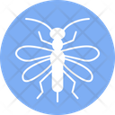 پیش‌نمایش فایل snakefly-4467973 از پک حشرات