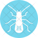 پیش‌نمایش فایل stonefly-4467952 از پک حشرات