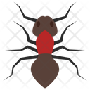 پیش‌نمایش فایل ant-4468011 از پک حشرات