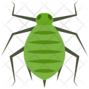 پیش‌نمایش فایل aphid-4468036 از پک حشرات