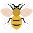 پیش‌نمایش فایل bee-4468025 از پک حشرات