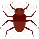 پیش‌نمایش فایل beetle-4468021 از پک حشرات