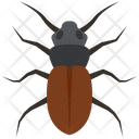 پیش‌نمایش فایل beetle-4468022 از پک حشرات