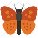 پیش‌نمایش فایل butterfly-4468018 از پک حشرات