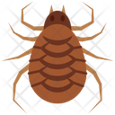 پیش‌نمایش فایل cat-flea-4468020 از پک حشرات