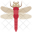 پیش‌نمایش فایل dragonfly-4468009 از پک حشرات