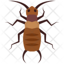 پیش‌نمایش فایل earwig-4468035 از پک حشرات