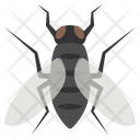 پیش‌نمایش فایل fly-4468027 از پک حشرات