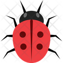 پیش‌نمایش فایل ladybug-4468026 از پک حشرات