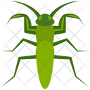پیش‌نمایش فایل mantis-4468032 از پک حشرات