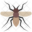 پیش‌نمایش فایل mosquito-4468014 از پک حشرات