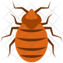 پیش‌نمایش فایل parasite-4468008 از پک حشرات