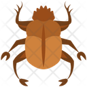 پیش‌نمایش فایل scarab-4468016 از پک حشرات