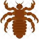 پیش‌نمایش فایل scorpion-4468007 از پک حشرات