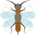 پیش‌نمایش فایل snakefly-4468033 از پک حشرات