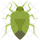 پیش‌نمایش فایل stinkbug-4468015 از پک حشرات