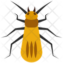پیش‌نمایش فایل stonefly-4468012 از پک حشرات
