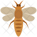 پیش‌نمایش فایل thrips-4468017 از پک حشرات