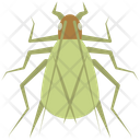 پیش‌نمایش فایل tree-cricket-4468010 از پک حشرات