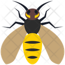 پیش‌نمایش فایل wasp-4468034 از پک حشرات