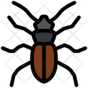 پیش‌نمایش فایل beetle-4467992 از پک حشرات