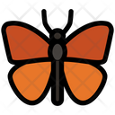پیش‌نمایش فایل butterfly-4467988 از پک حشرات