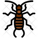 پیش‌نمایش فایل earwig-4468005 از پک حشرات
