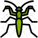 پیش‌نمایش فایل mantis-4468002 از پک حشرات