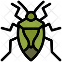 پیش‌نمایش فایل stinkbug-4467985 از پک حشرات