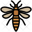 پیش‌نمایش فایل thrips-4467987 از پک حشرات