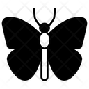 پیش‌نمایش فایل butterfly-4468078 از پک حشرات
