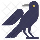 پیش‌نمایش فایل crow-4485939 از پک هالووین، جلد ۱