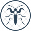 پیش‌نمایش فایل mantis-4490207 از پک حشرات