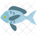 پیش‌نمایش فایل fish-4521685 از پک شکرگزاری، جلد ۱