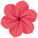 پیش‌نمایش فایل flower-4521694 از پک شکرگزاری، جلد ۱