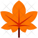 پیش‌نمایش فایل maple-leaf-4521671 از پک شکرگزاری، جلد ۱